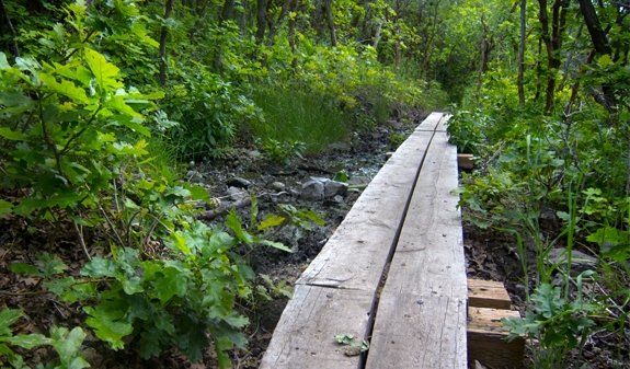 biking the trail